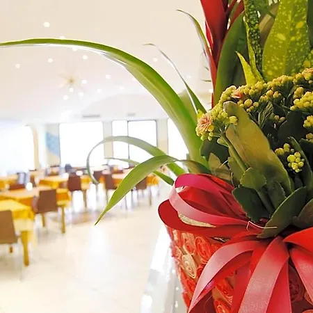 Stella Maris 3*