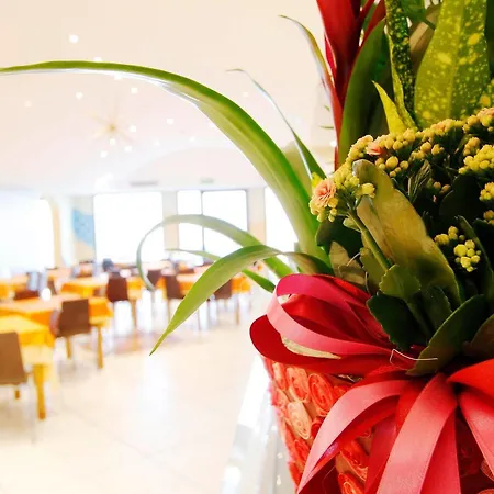 Stella Maris מלון 3*